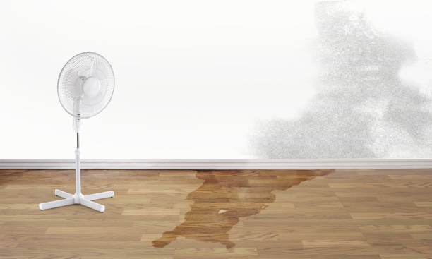  Butte, AK Water damage restoration Pros