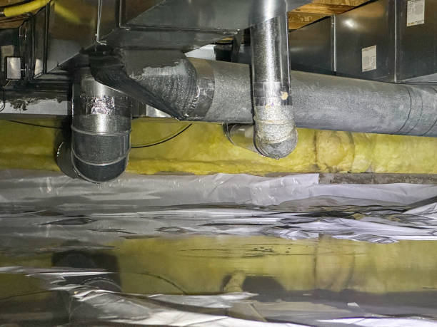 Best Emergency water damage restoration  in Butte, AK