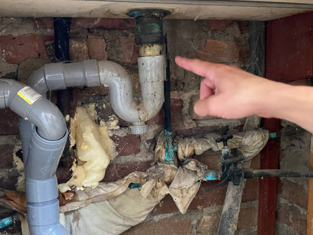 Best Basement water damage restoration  in Butte, AK